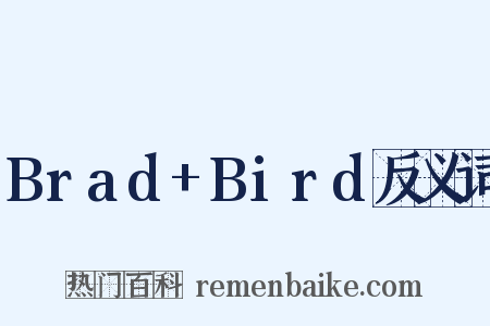 Brad+Bird反义词是什么意思的图片